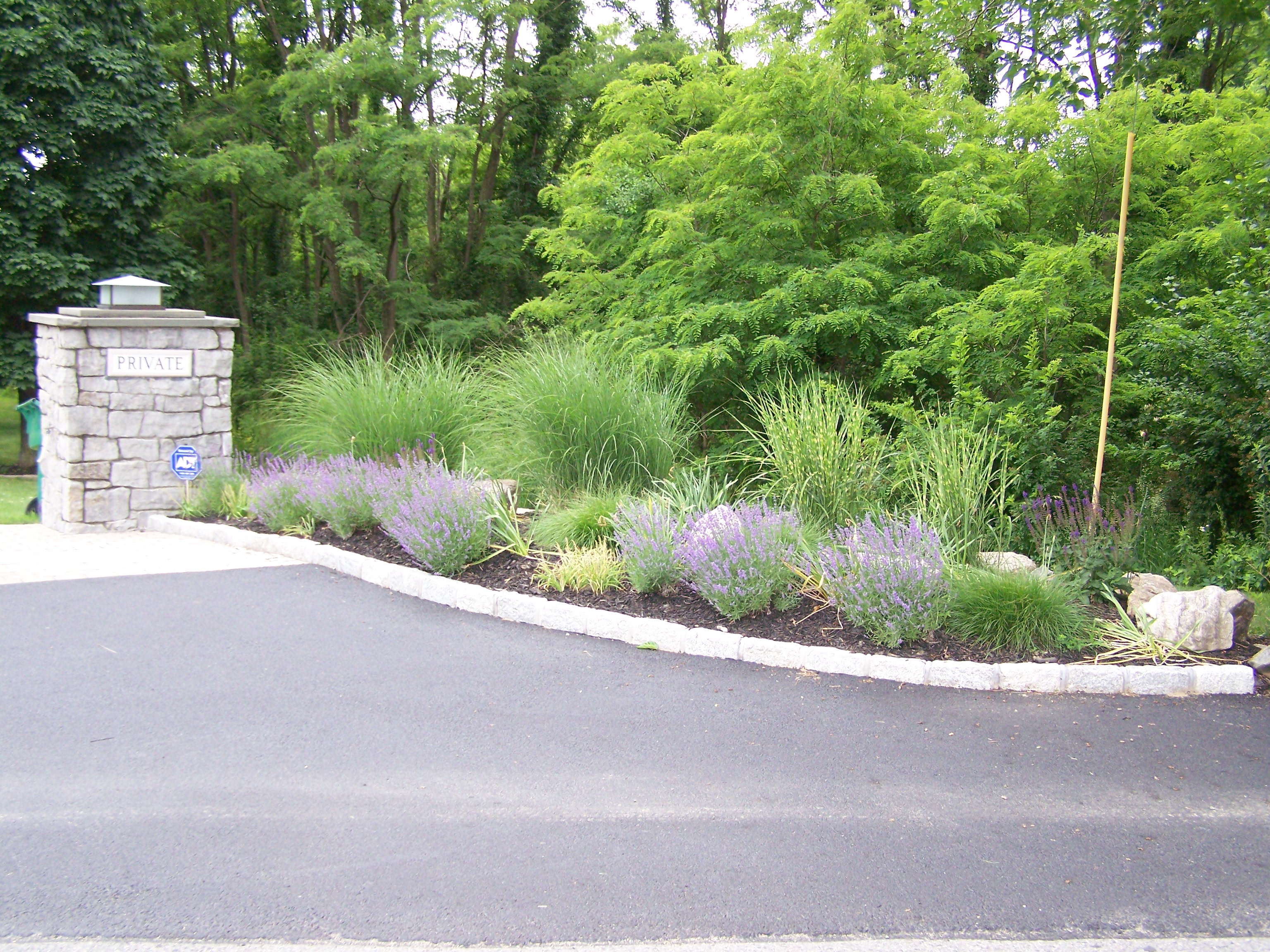 planting area